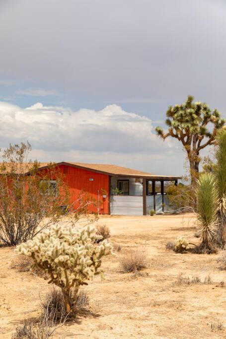 Cryptic Cabin-Tranquil Bohemian Getaway W/Hot Tub Villa Yucca Valley Exterior foto